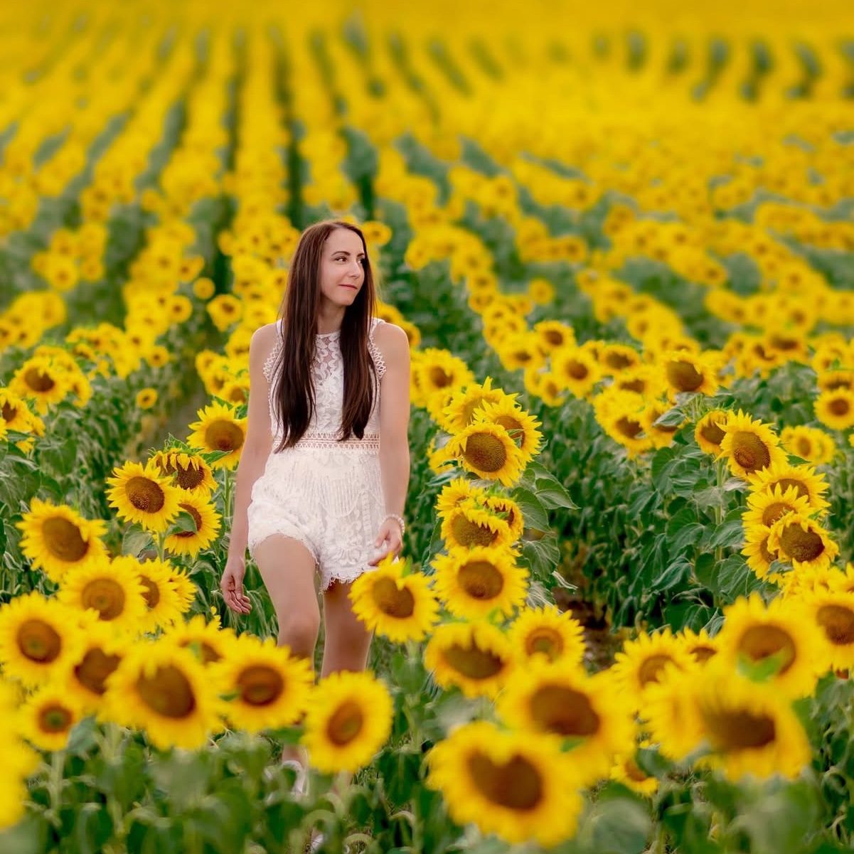 Featured portfolio image for nikus, model in Lovasberény